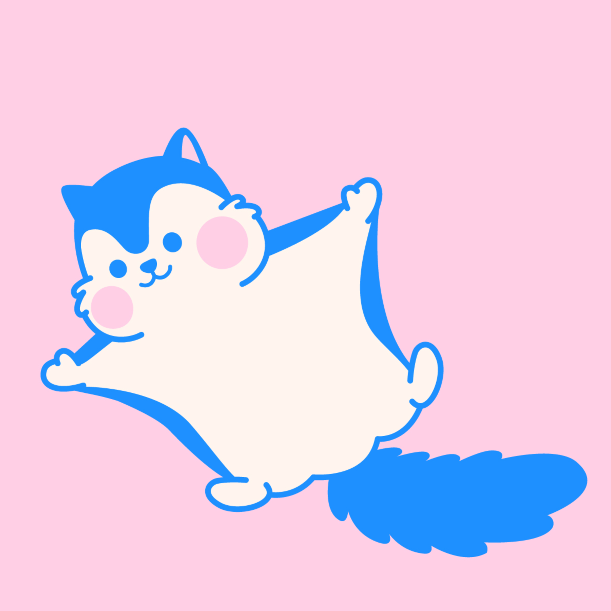 Rappy | 라피
